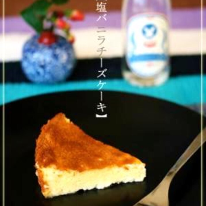 【塩バニラチーズケーキ】～塩フェチ好み～